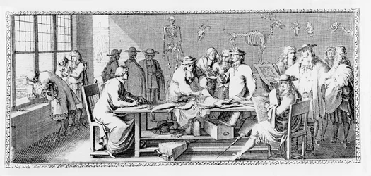 A lição de anatomia, (dissecação no jardim de plantas) de &39;The Cleric Jomberd&39; 1168